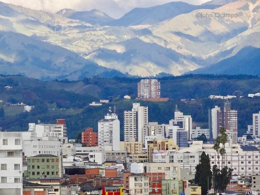 Manizales