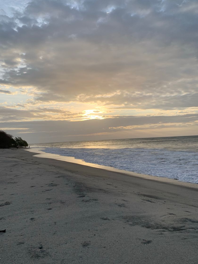 Lugar Wydham Playa Corona, Panamá