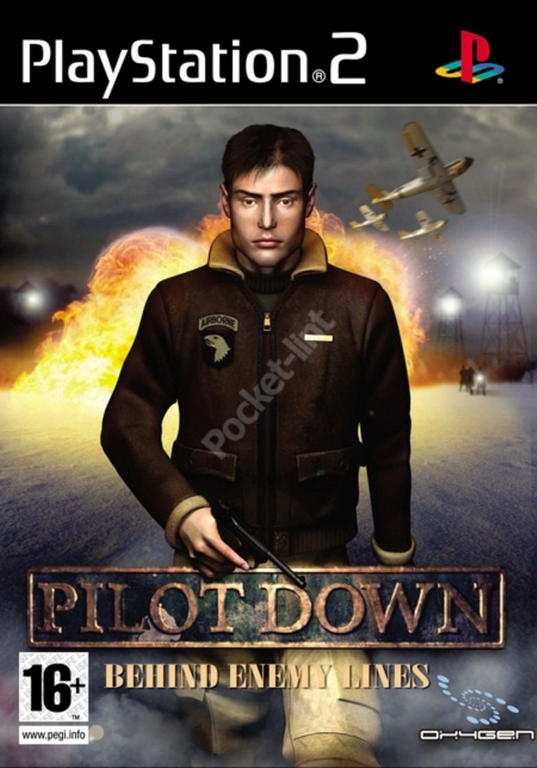 Videojuegos Pilot Down: Behind Enemy Lines