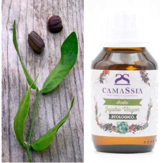 Aceite de Jojoba virgen BIO