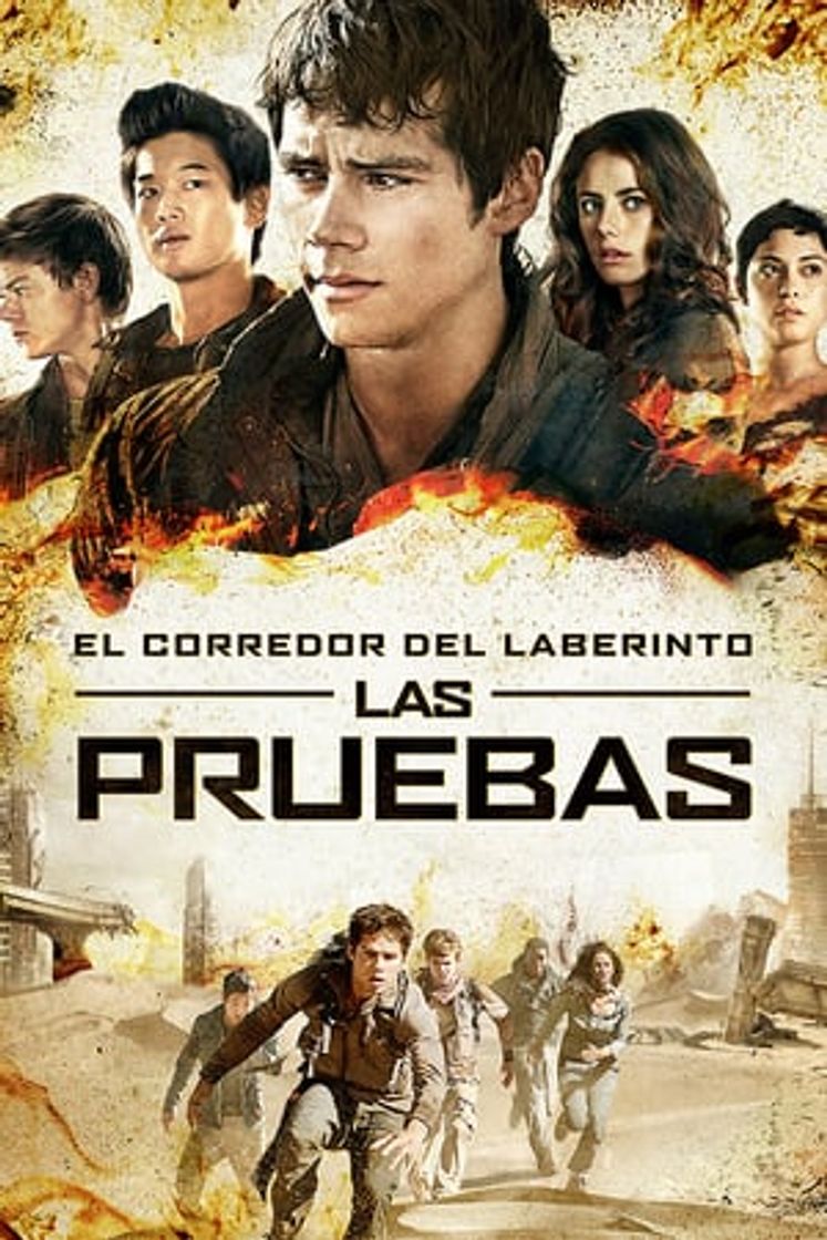 Película El corredor del laberinto: Las pruebas