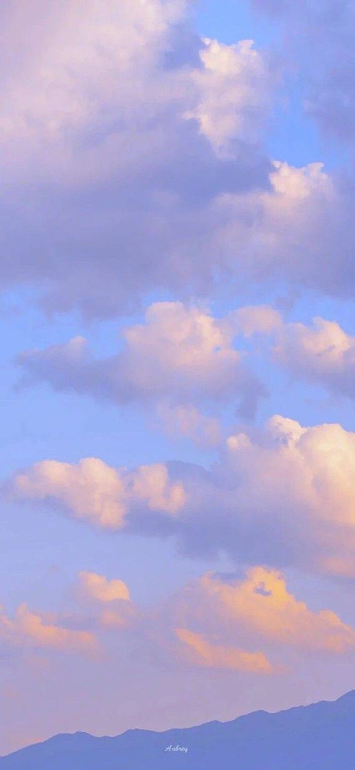 Social WALLPAPER 