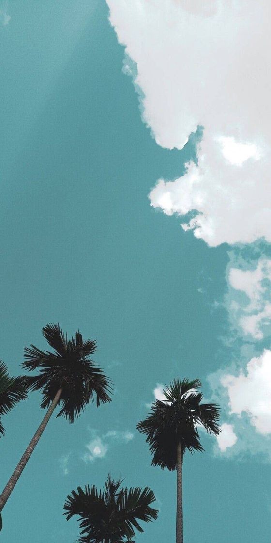 Social WALLPAPER 