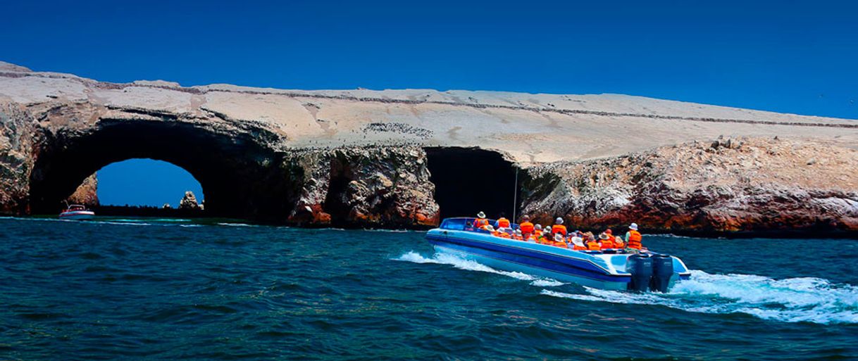 Lugar Reserva Nacional Islas Ballestas