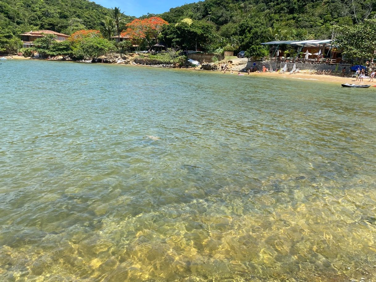 Lugar Praia da Tartaruga