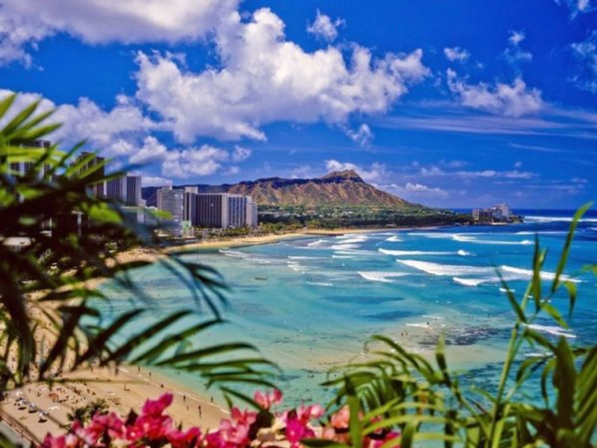 Lugar Hawaii