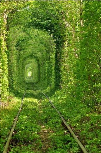 Túnel do amor - Ucrânia 