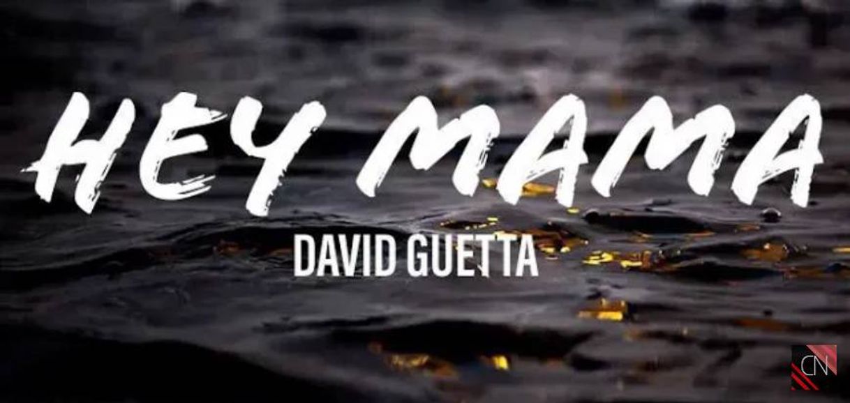 Fashion Hay mama (David Guetta)