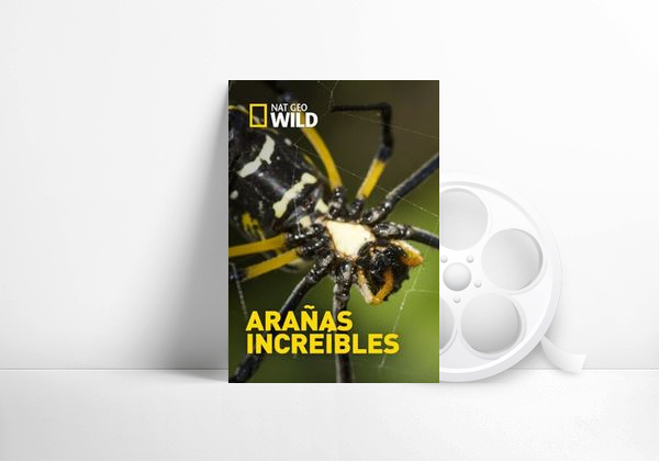 Movie Arañas increíbles