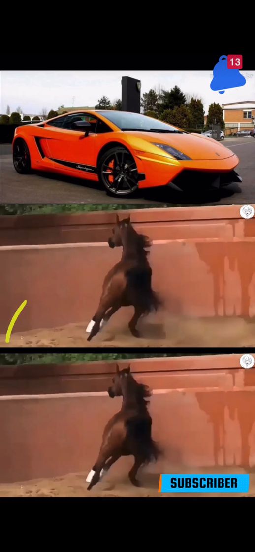 Fashion Cars and horses