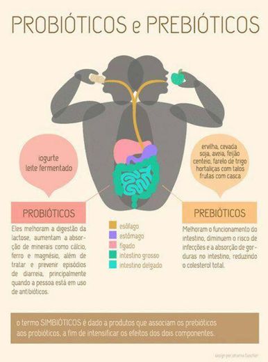 Probióticos e Prebióticos