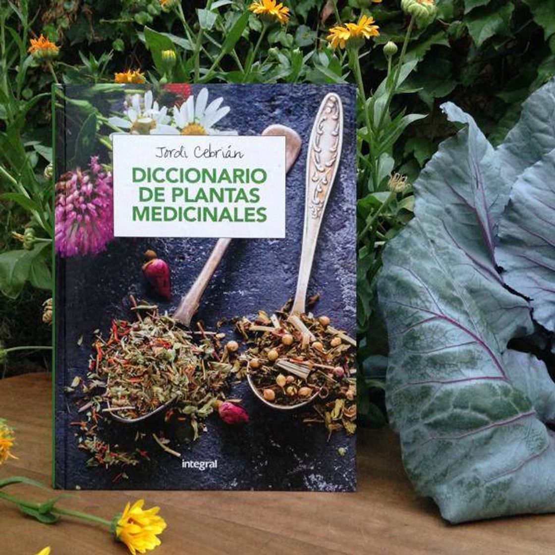 Fashion Diccionario de Plantas Medicinales 