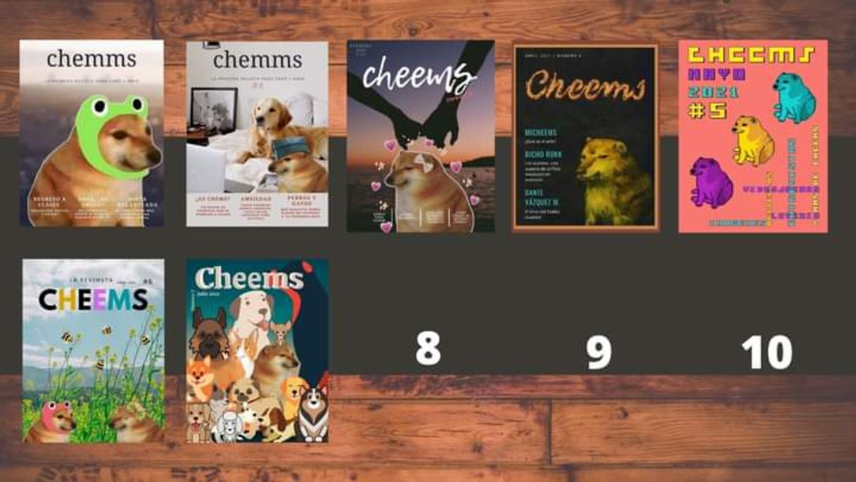 Libros Revimsta Cheems – Revista con temática de Cheems