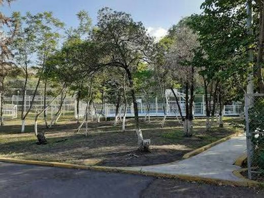 Parque Venustiano Carranza