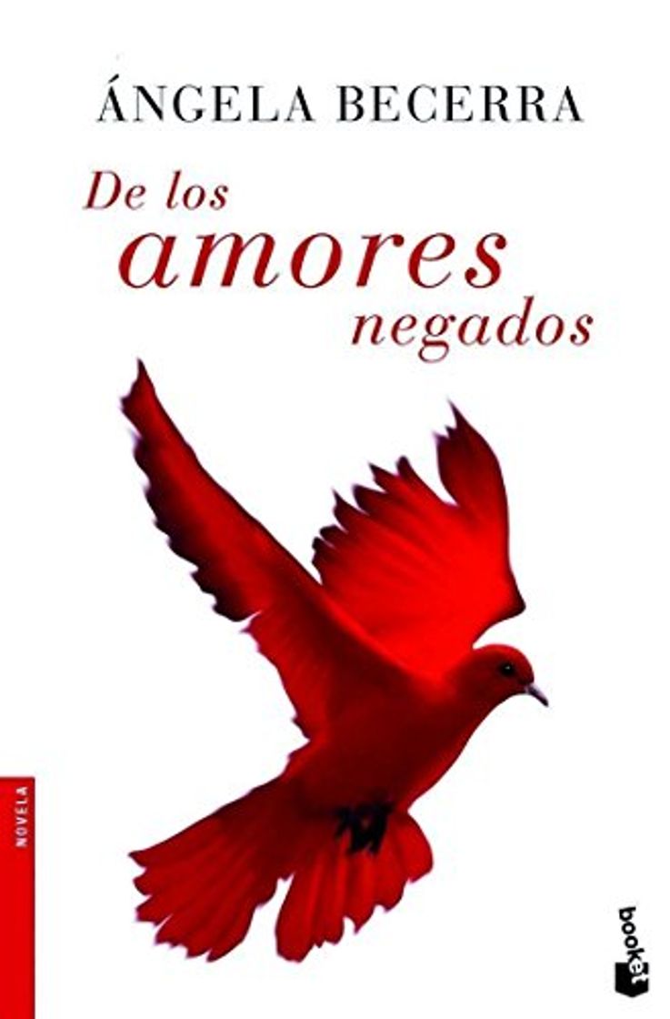 Book De los amores negados