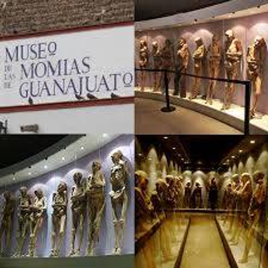 Lugar Museo de las Momias de Guanajuato