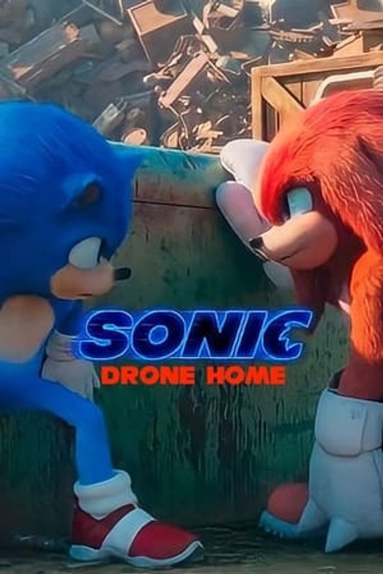 Película Sonic Drone Home