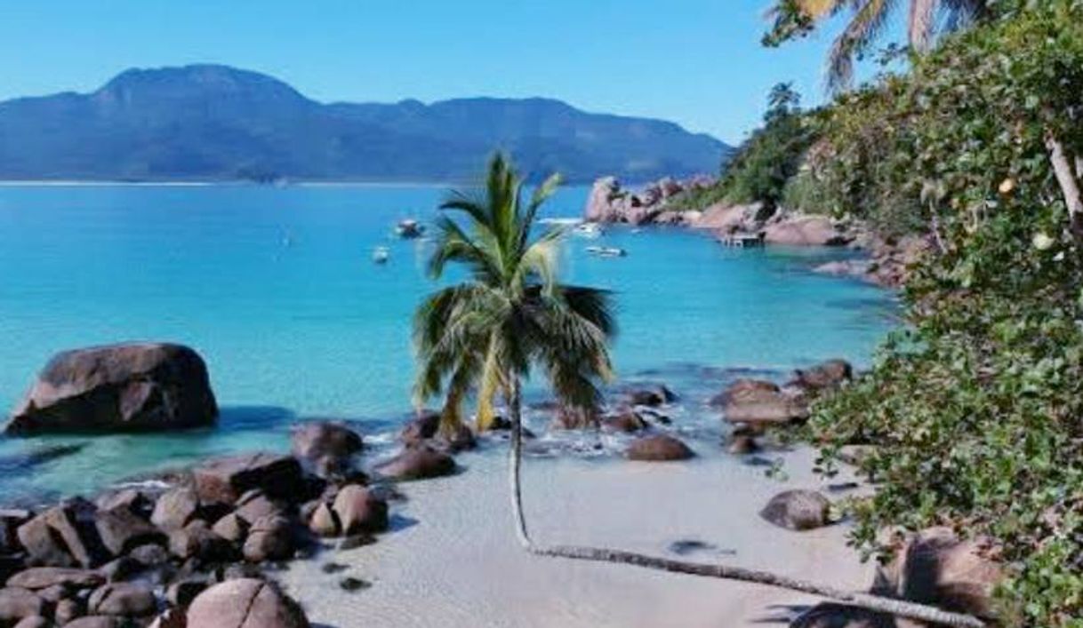 Lugar Ilha Grande