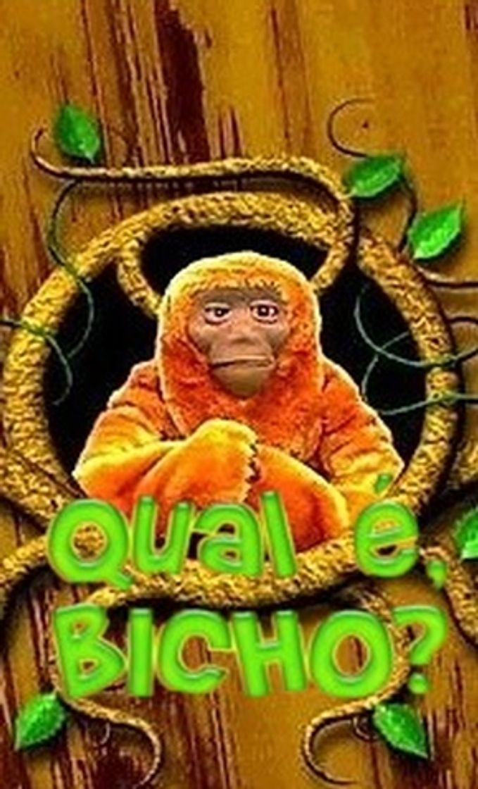 Qual é Bicho?