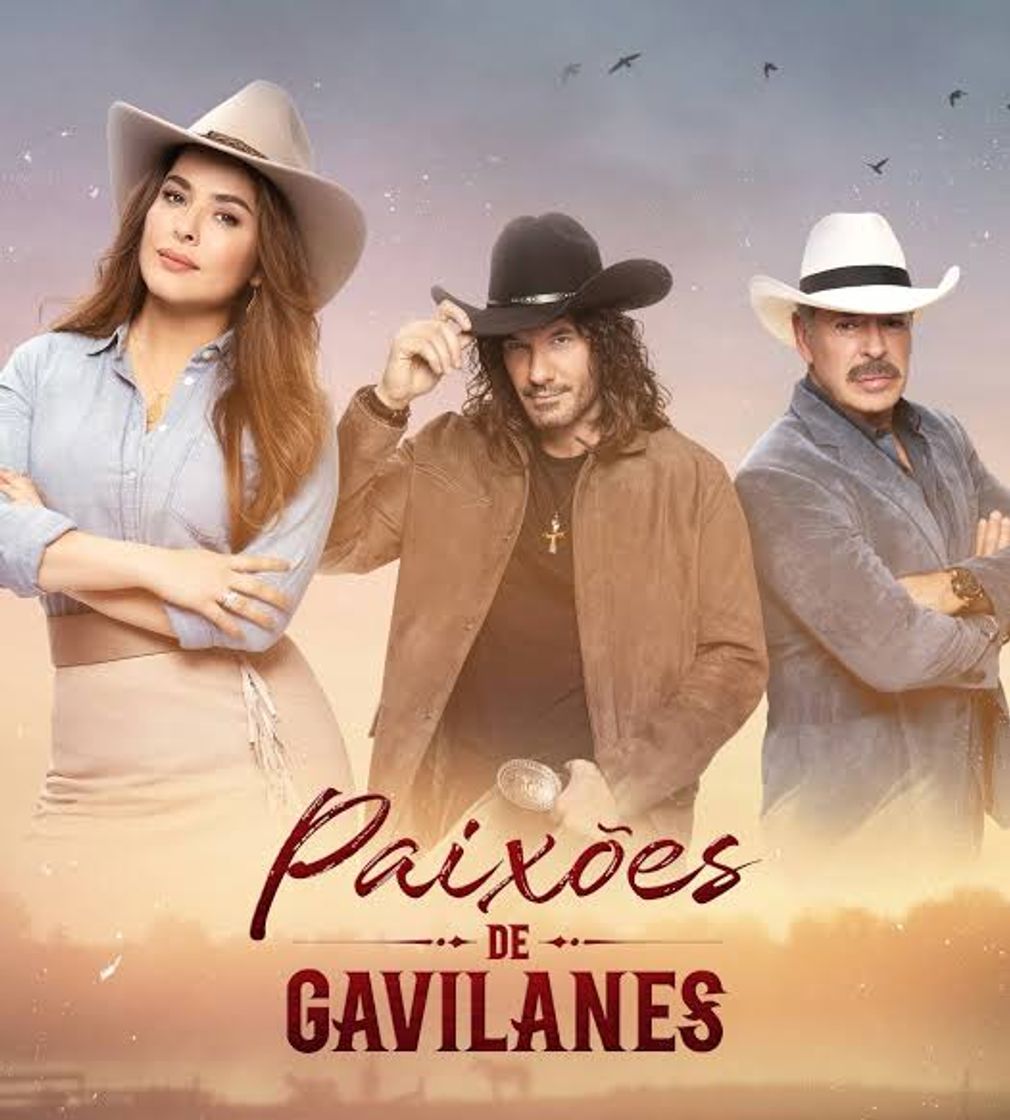 Paixões de Gavilanes 