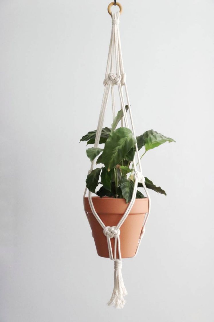 Suportes para plantas em macrame