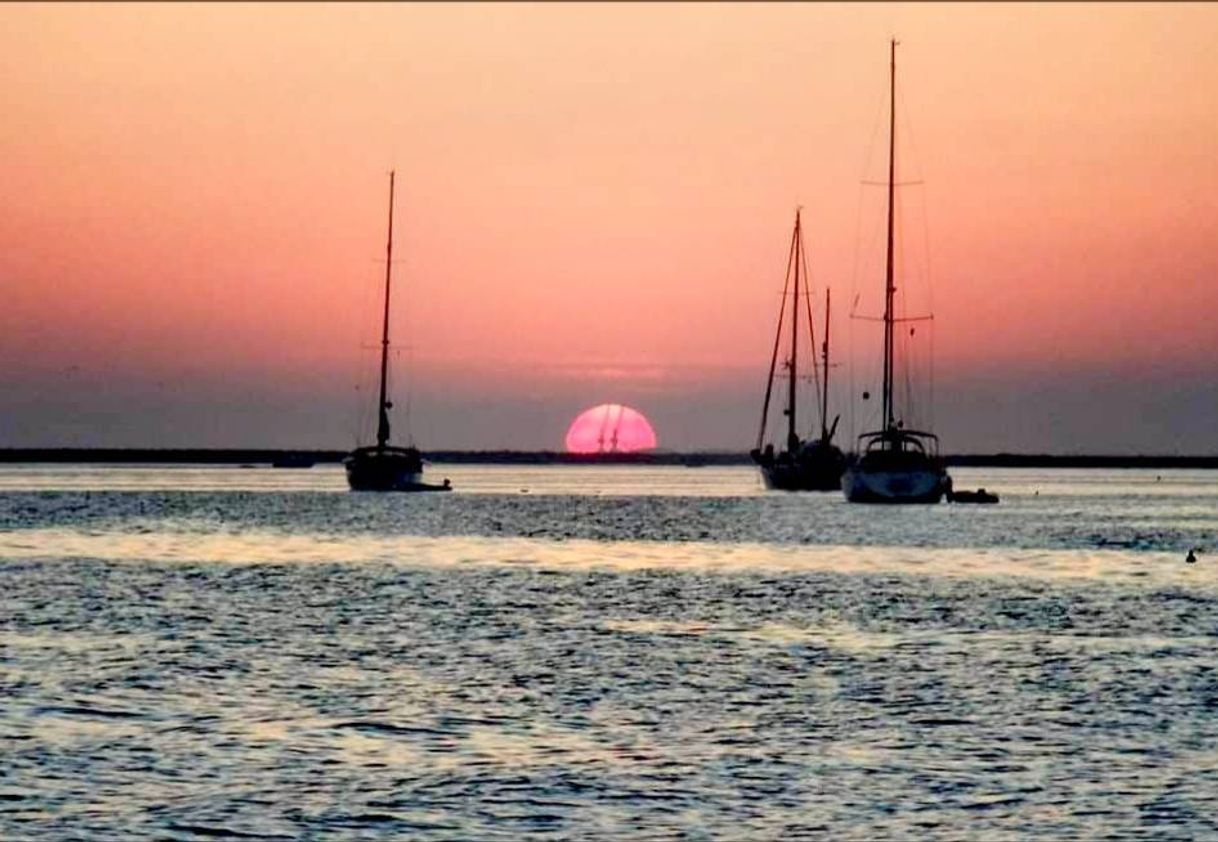 Lugar Ria Formosa Natural Park