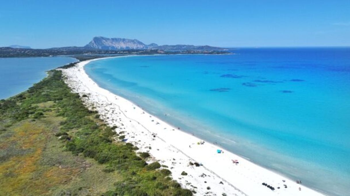 Place Spiaggia La Cinta