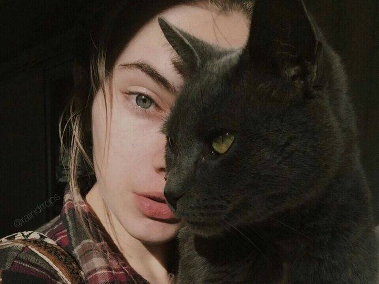 Social Animalzinho pra se ter em casa