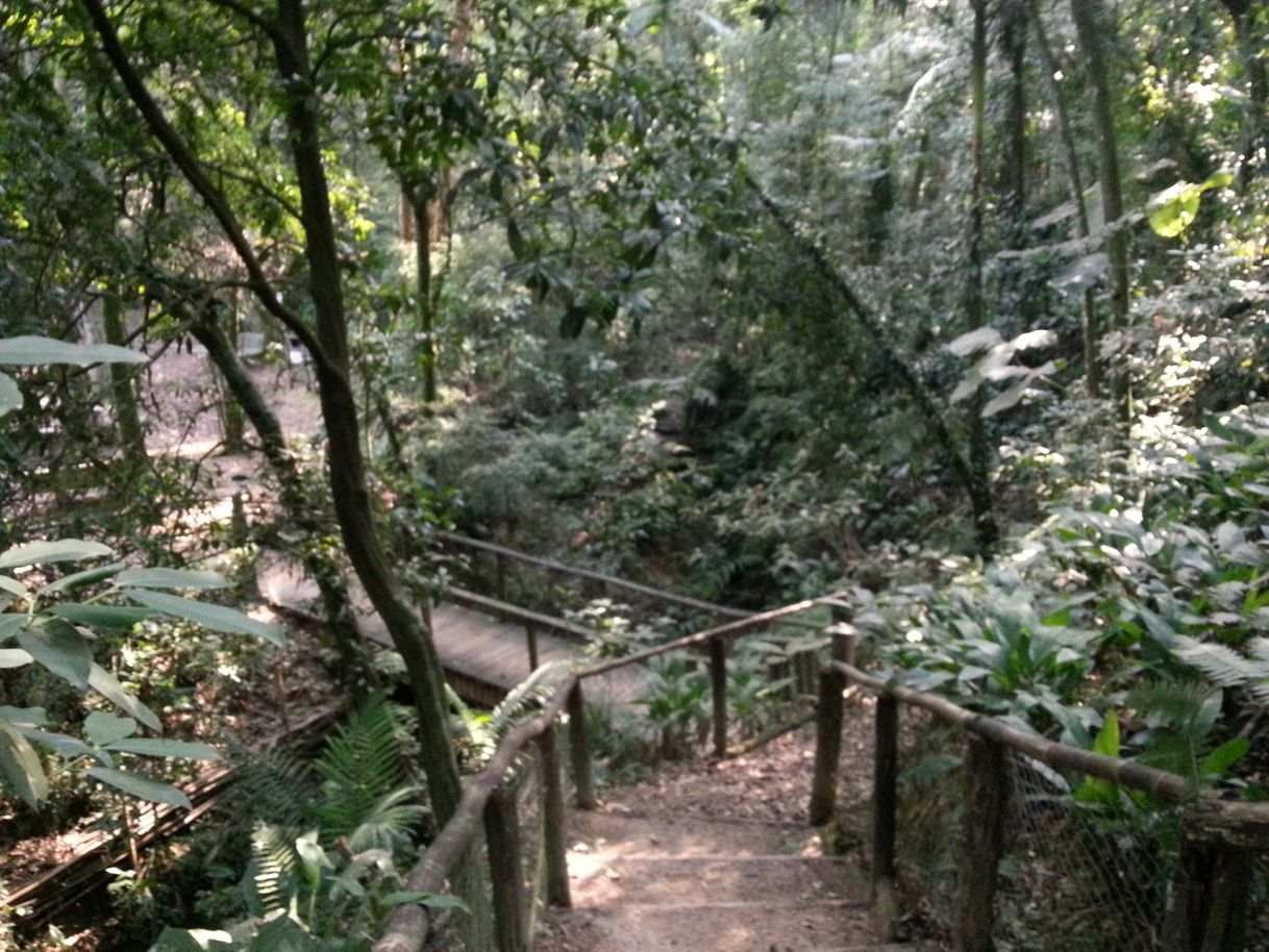 Place Parque Alfredo Volpi