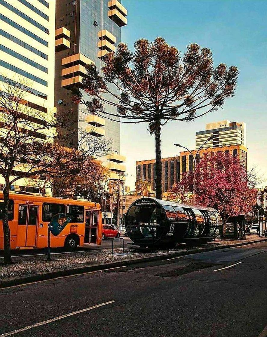 Fashion Tubos (ponto de ônibus)