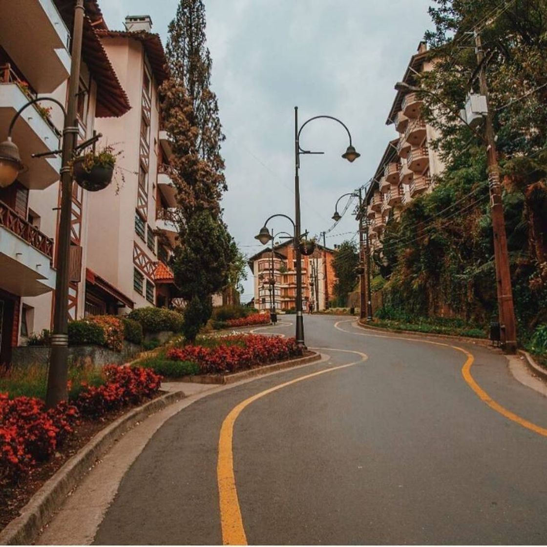 Lugar Rua Torta