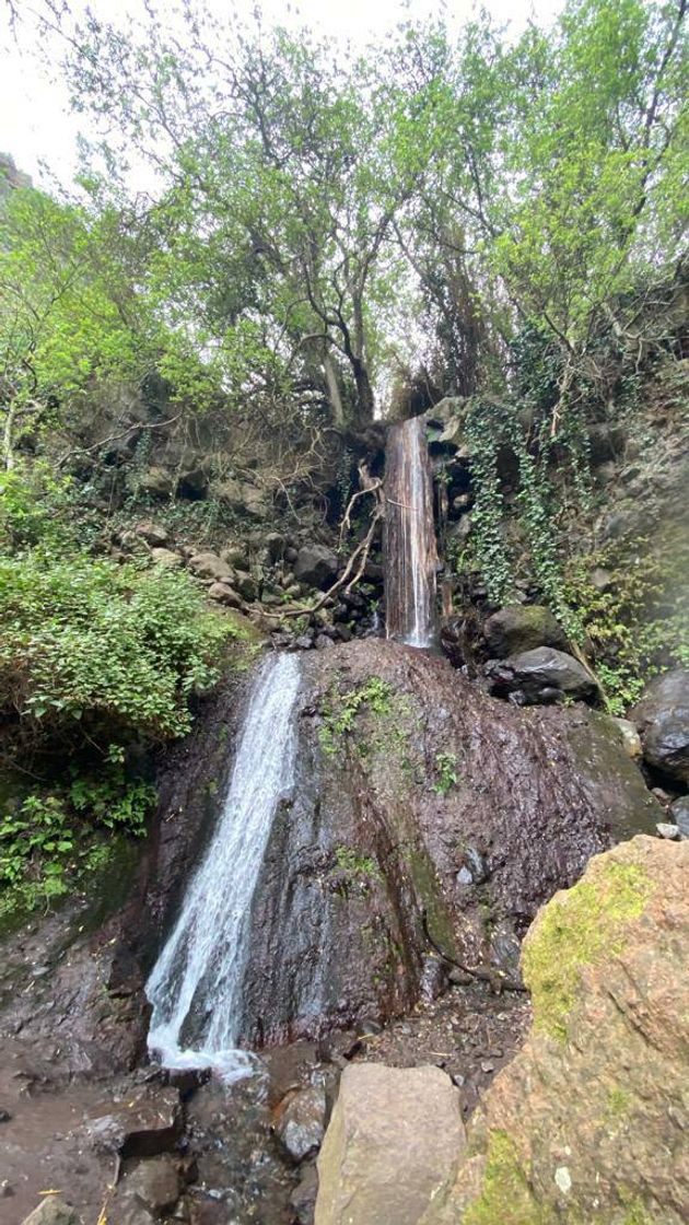 Fashion ▷ Barranco de Los Cernícalos