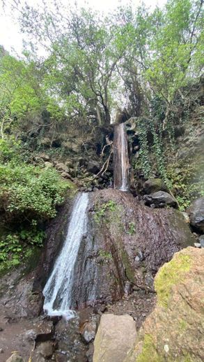 ▷ Barranco de Los Cernícalos