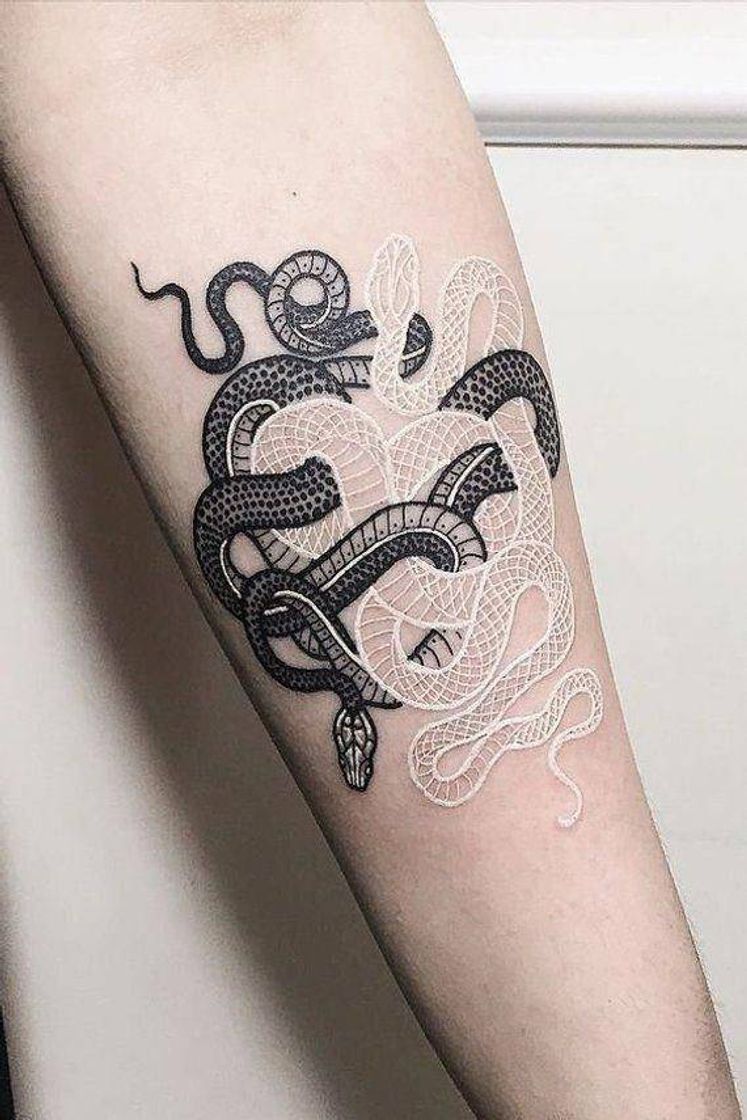Social Black and White snake