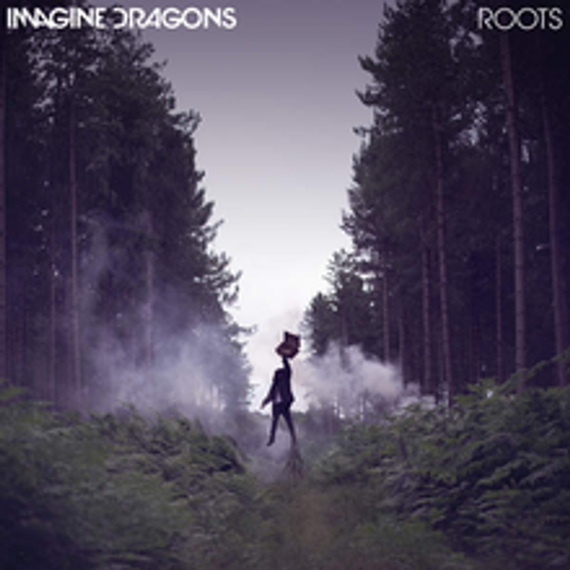 Music Imagine Dragons roots