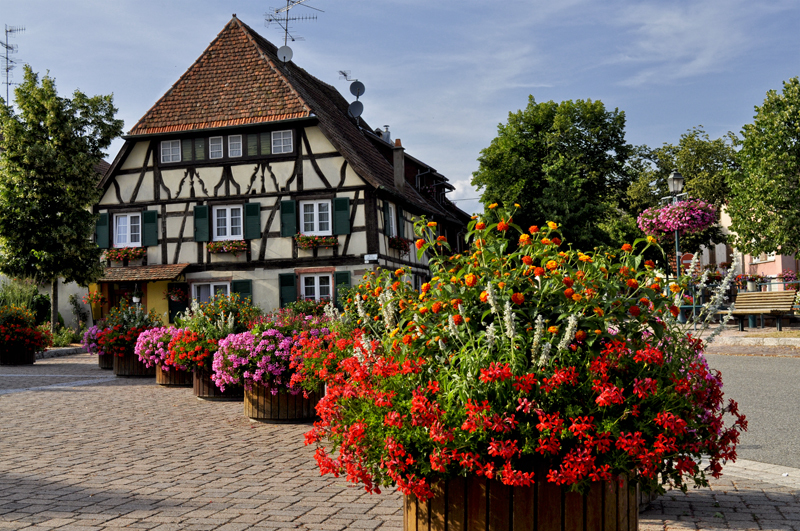 Scherwiller