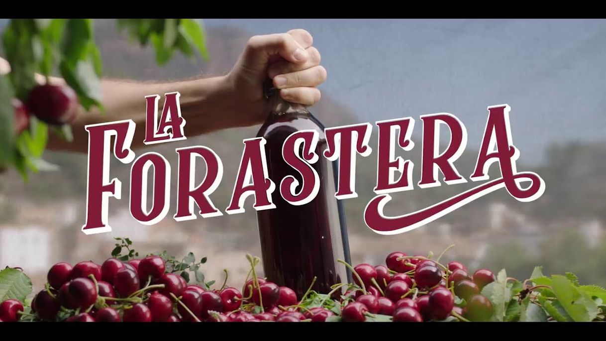 À Punt