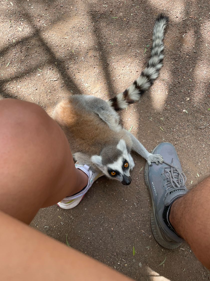 Lugar Oasis Park Fuerteventura