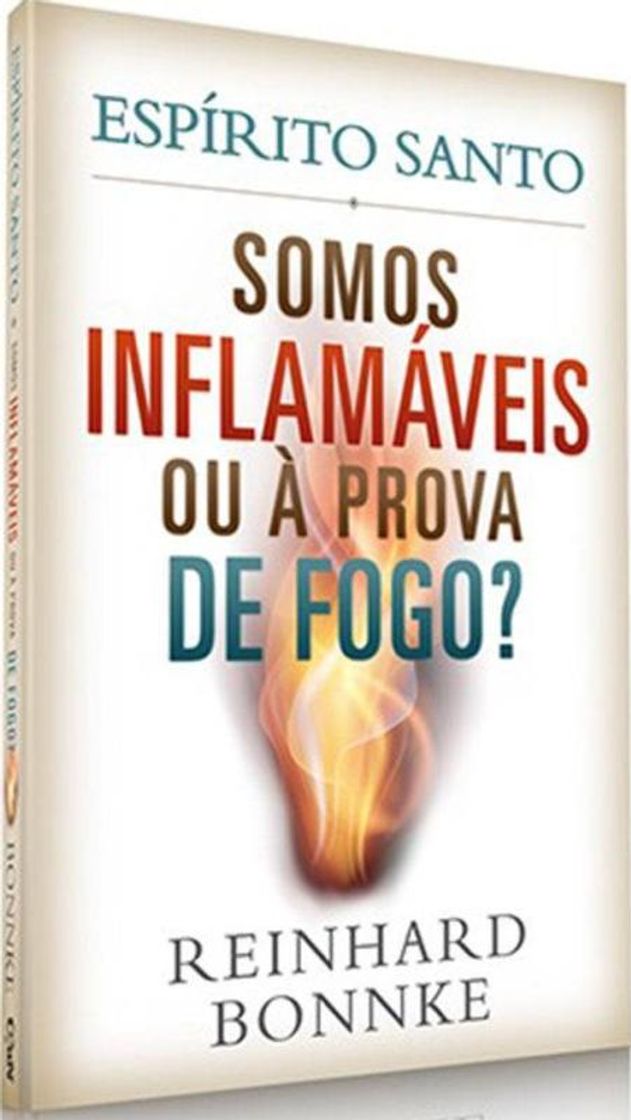 Book Espírito Santo: Inflamáveis ou à Prova de Fogo?