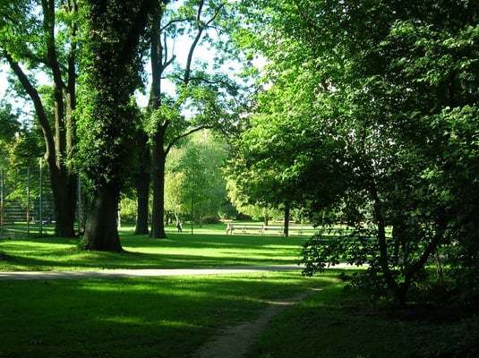 Lugares Währinger Park