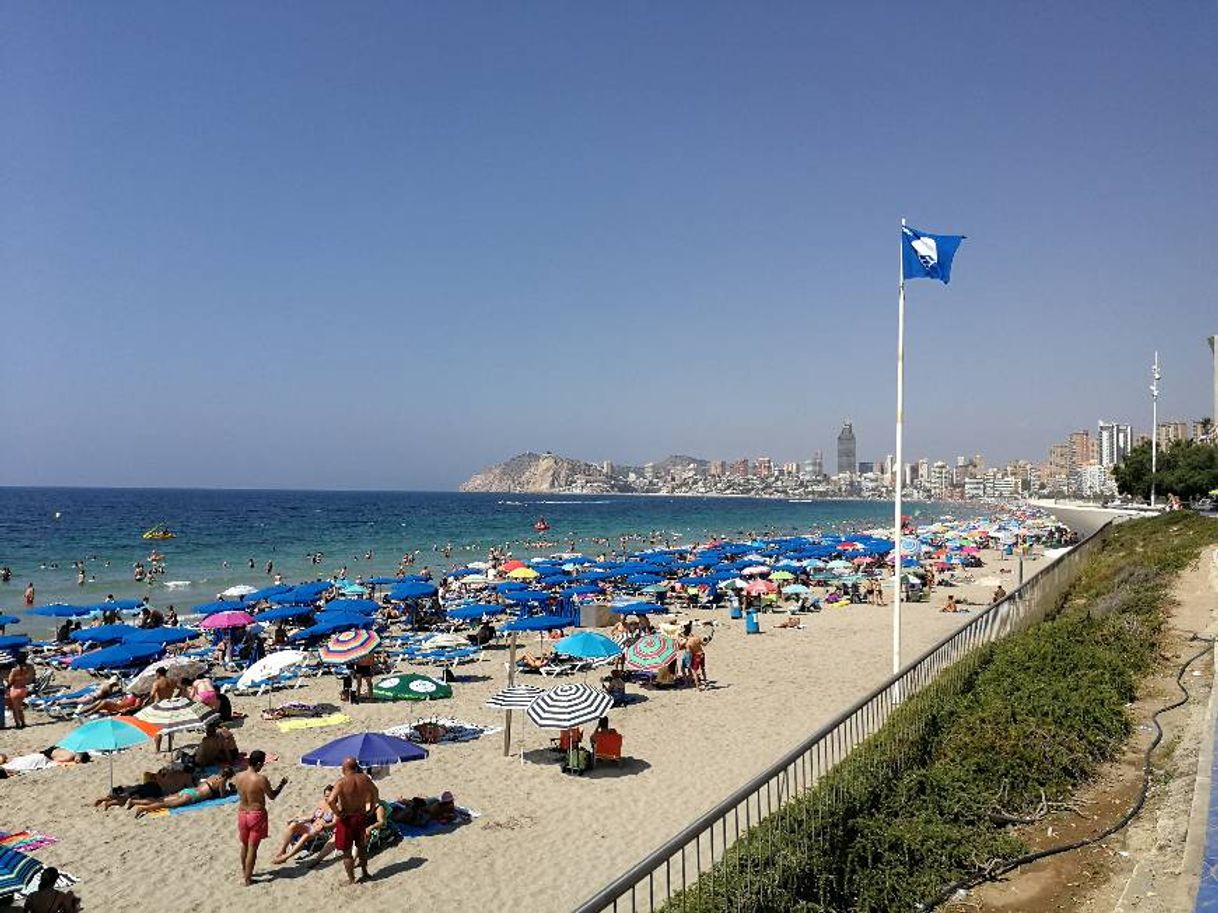 Lugar Praia de Ponent, Benidorm