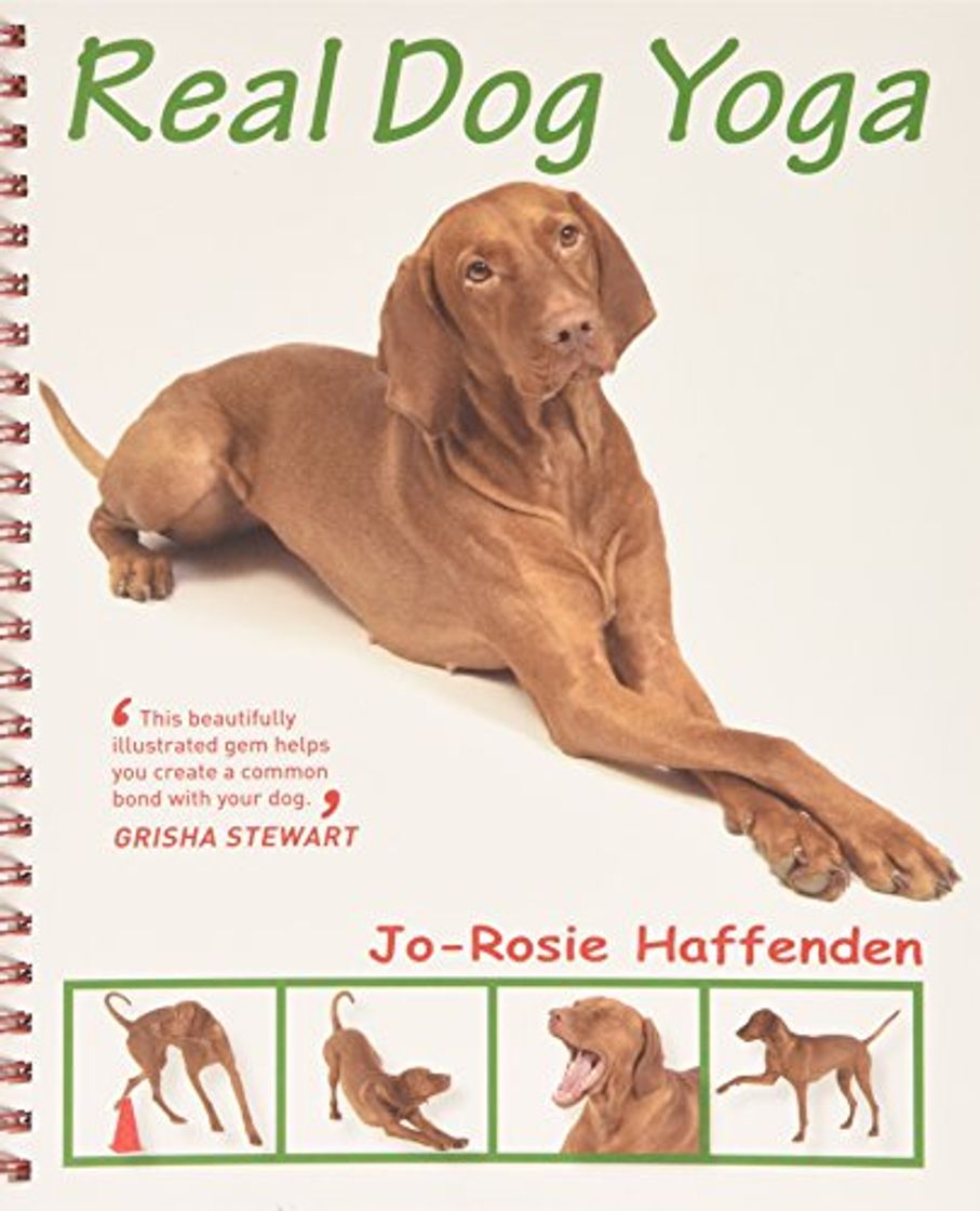 Libro Real Dog Yoga