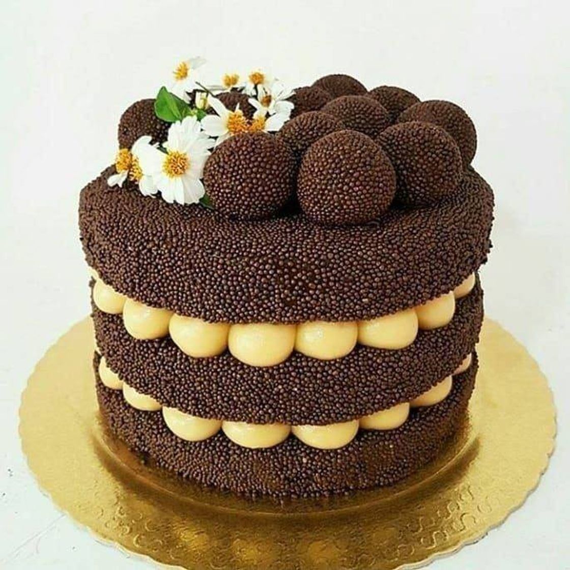 Social 🍰 bolo
