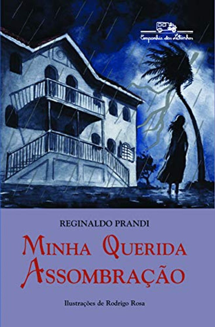 Book Minha Querida Assombração