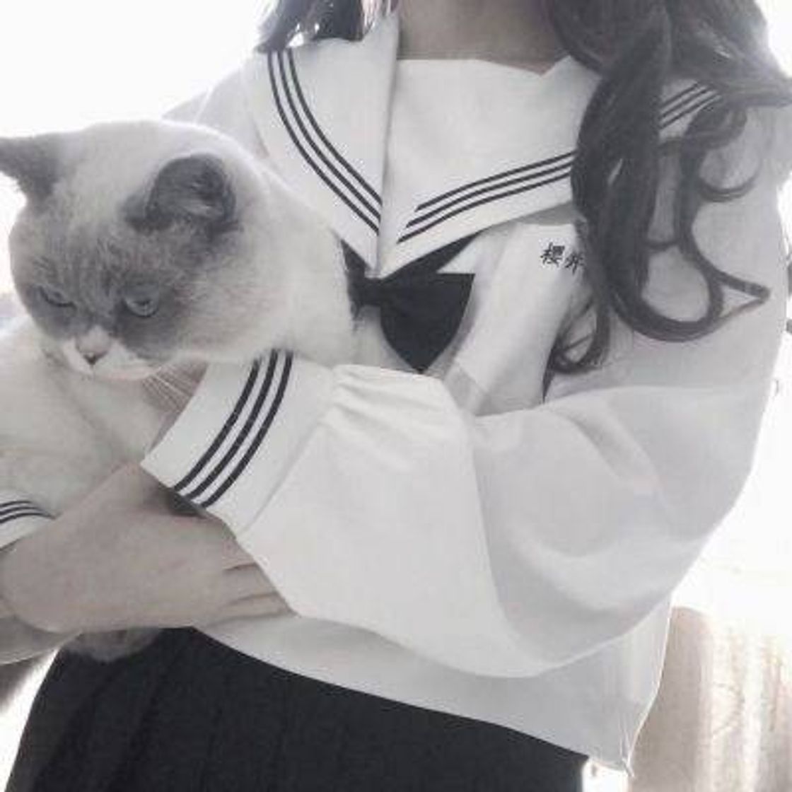 Moda roupa aesthetic; kawaii - uniforme japonês