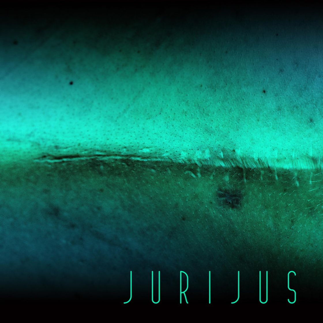 Canción Dance In The Moonlight