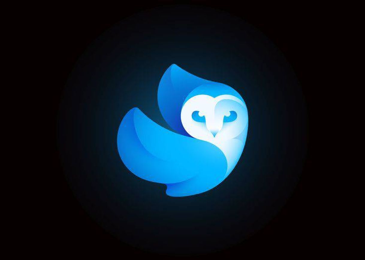 App Pixaloop
