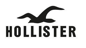 Moda Hollister