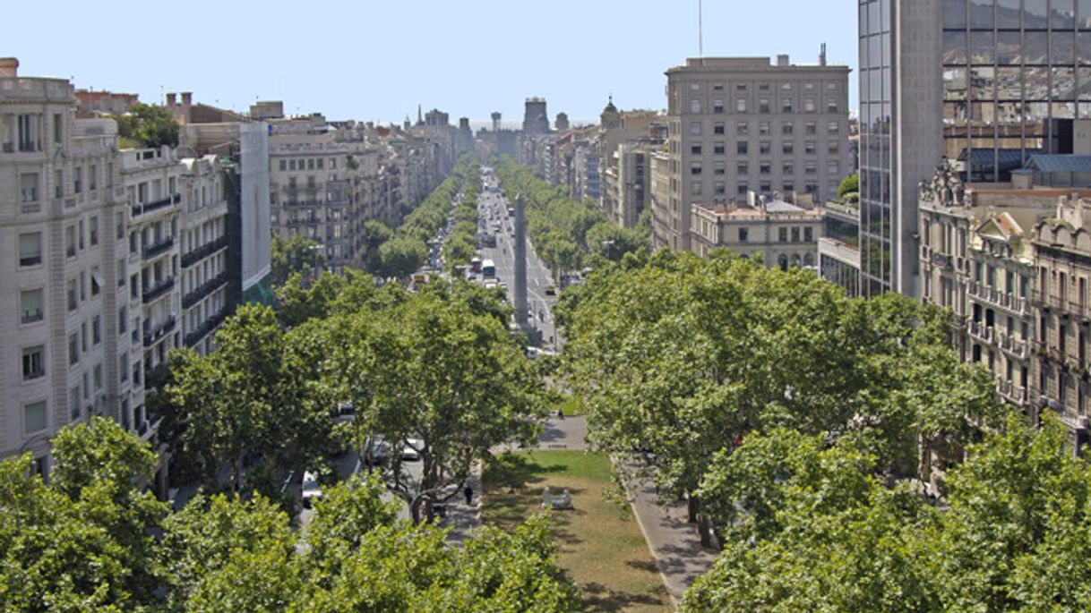 Lugar Passeig de Gràcia