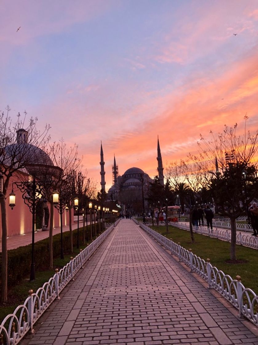 Place Blue mosque